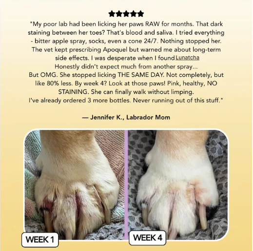 Vet-backed skin relief spray