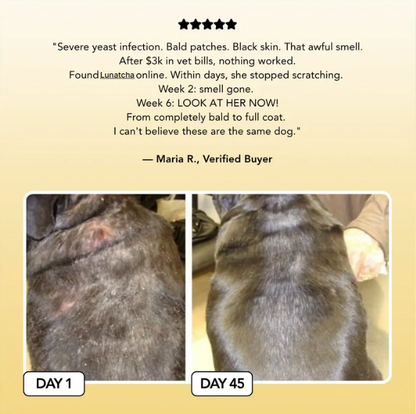Vet-backed skin relief spray